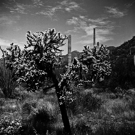 6017_FM_BW_TUCSON_AZ_05_4.jpg