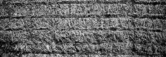 7569_FM_BW_XPAND_ARIZONA_01_16.jpg