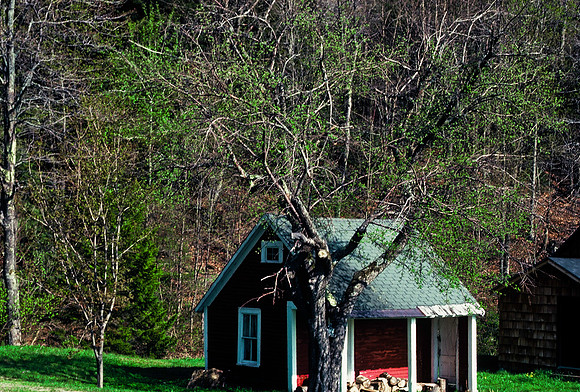 64039_B1_SL_COLOR_UP STATE_NY_86_05.jpg