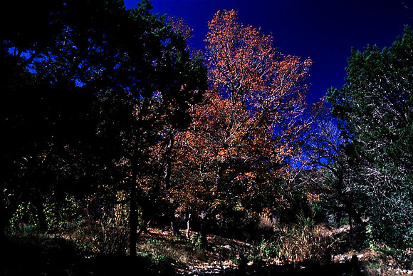 47910_B16_SL_COLOR_EL_PASO_TO_RTE39_TO_BIRD_PARK_TX_97_08.jpg