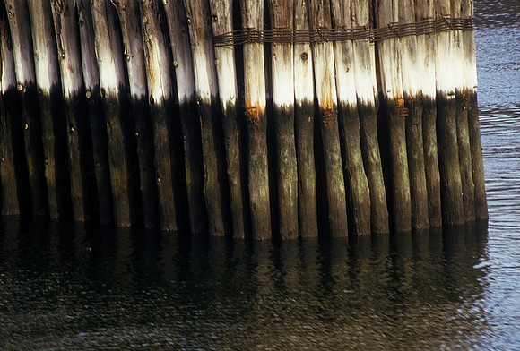 64049_B1_SL_COLOR_NY_86_08.jpg