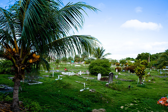 36291_DG_Color_West_Indies_Harbour_Island_BahamasZV4N2210