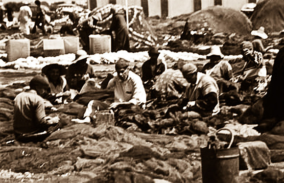 3236_SL_COLOR_TAROUDANNT_MAROCCO_II_1998_8