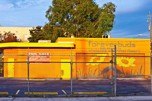 3788_DG_Wynwood_Art_District_Miami_FL_5L8Y4475