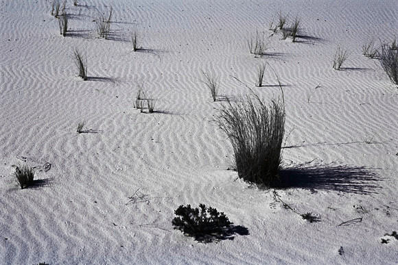 47896_B16_SL_COLOR_LA_MESILLA0_TO_WHITE_SOUNDS_NAT_MNY_HWY20_NM_97_0808.jpg