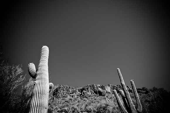 0031_La_Arizona_5L8Y5369