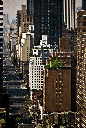 64052_B1_SL_COLOR_NY_82_15.jpg