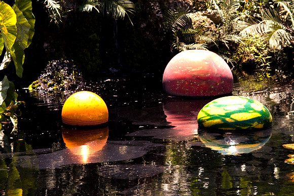 84775_DSC_0096_Fairchild_Garden_Miami_FL_USA