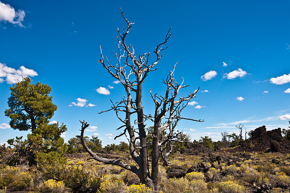 0020_Wyonming_To_Ketchem_Sun_Valley_ID_5L8Y7808