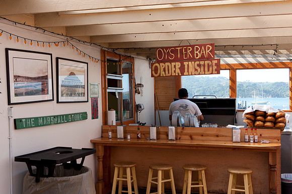 0026_DG_Marchall_Tomales_Bay_CA_USA_2009_5L8Y1707