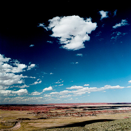 6142_COLOR_SQ_PAINTED_DESERT_AZ_USA_05.JPG
