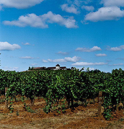 6045_FM_COLOR_SQ_CALIFORNIA_USA_05_1.jpg