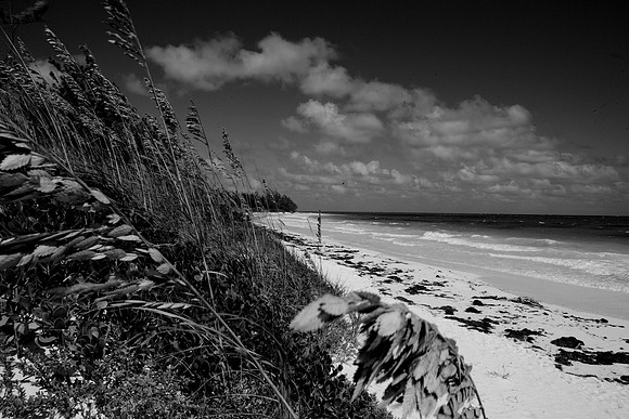 36168_DG_BW_USA_Harbour_Island_Bahamas_Related_GroupZV4N2070