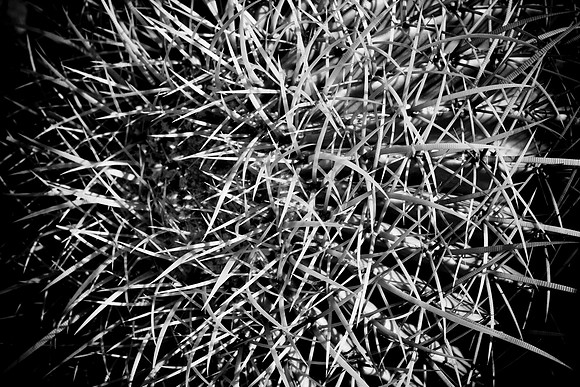 0031_La_Arizona_5L8Y5226