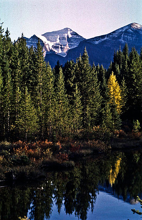 06836_B19_SL_COLOR_ATHABASCA_FALLS_ONE_OF_JASPER_NAT_PARK_BC_WS_97_20.jpg