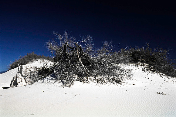 47896_B16_SL_COLOR_LA_MESILLA0_TO_WHITE_SOUNDS_NAT_MNY_HWY20_NM_97_0202.jpg
