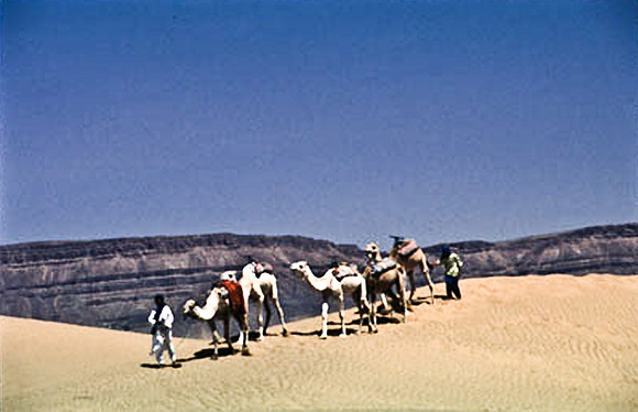 3191_SL_COLOR_TAMGROUTE_DUNES_MAROCCO_II_1998_14