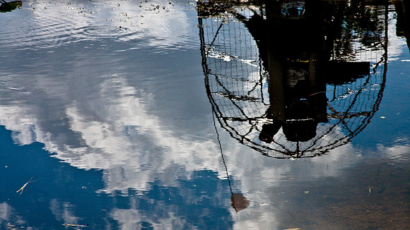 2527_EVERGLADES_MIAMI_FLORIDA_AOM_20090315__A0M1239