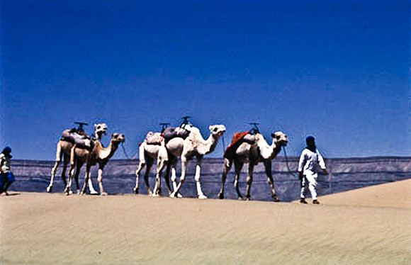 3189_SL_COLOR_TAMGROUTE_DUNES_MAROCCO_II_1998_17