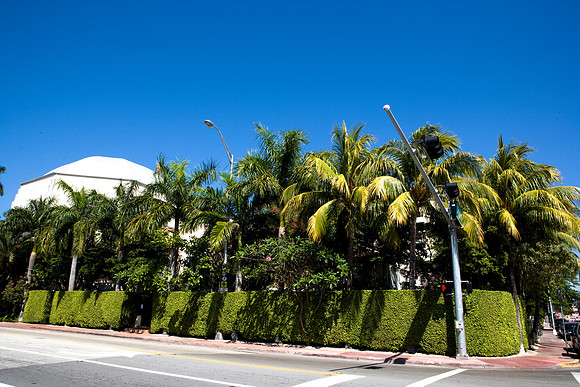 84762_ZV4N_6033_Miami_FL_USA