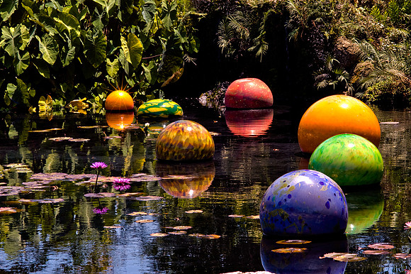 84775_DSC_0110_Fairchild_Garden_Miami_FL_USA