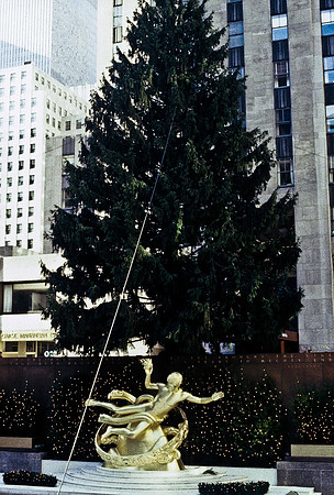 64042_B1_SL_COLOR_NY_86_13.jpg