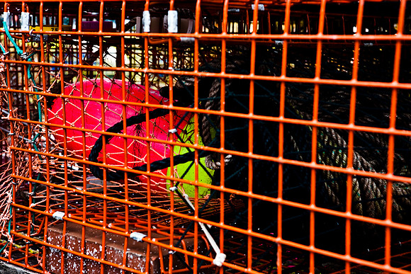 06581_ZV4N_0922_DG_COLOR_BASS_HARBOR_MAINE_ME_USA_2007_Costal_fishing_details