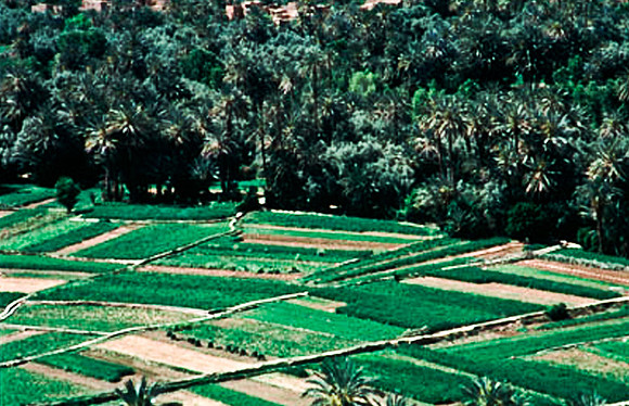 3223_SL_COLOR_TINERHIR_TO_GORGES_TODRA_MAROCCO_II_1998_18