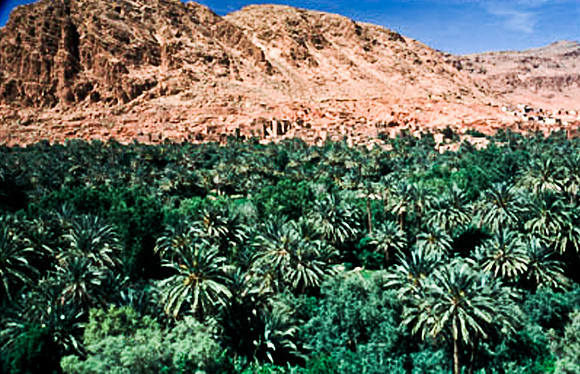 3223_SL_COLOR_TINERHIR_TO_GORGES_TODRA_MAROCCO_II_1998_15