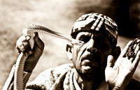 3239_SL_COLOR_TAROUDANNT_MAROCCO_II_1998_1