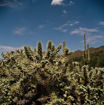 6016_FM_COLOR_TUCSON_AZ_05_5.jpg