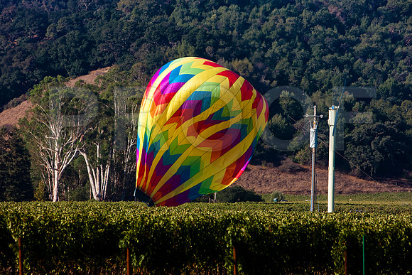 20080904_DVD25_DG_USA_Los_Olivos_CA_20080904_DVD25_DG_USA_Napa_CA_4708_full_blead