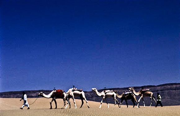 3192_SL_COLOR_TAMGROUTE_DUNES_MAROCCO_II_1998_2