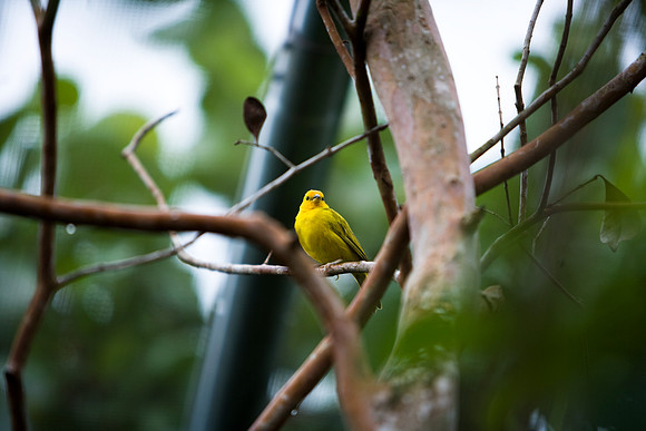 85547_ZV4N_7457-246_Miami_To_Sanibel_Island_FL