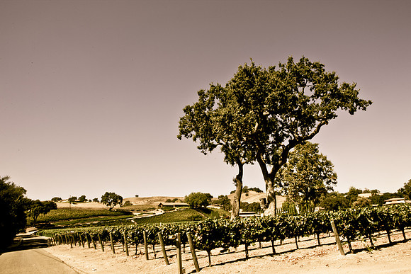 0028_Frisco_To_LA_5L8Y2405