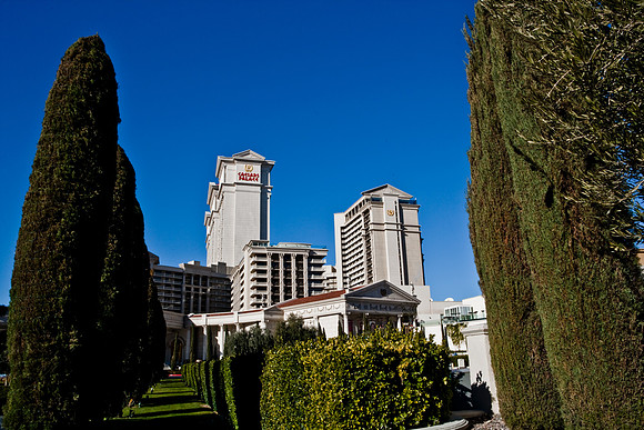 06651_DG_COLOR_LAS_VEGAS_NEVADA_NV_USA_2007_ZV4N_3177