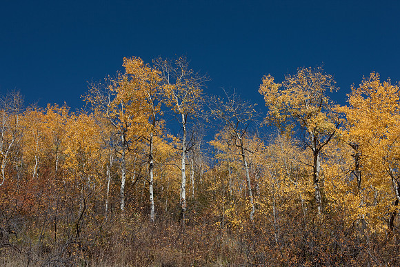 20080828_DVD9_DG_From_Glenwood_Spring_to_Aspen_CO_1981_full_blead