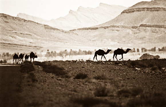 3200_SL_COLOR_RISSANI_MAROCCO_II_1998_15