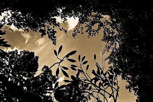 FILM