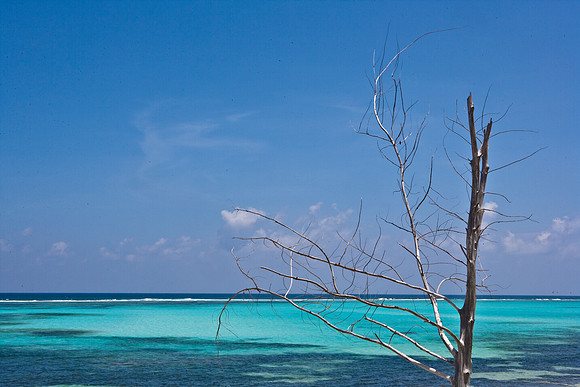 3876_DG_Cayman_Island_Caribbean_ZV4N0604