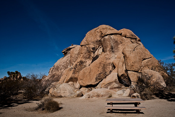 06646_DG_COLOR_JOSHUA_TREE_NAT_PARK_29_PALMS_CALIFORNIA_CA_USA_2007_ZV4N_434