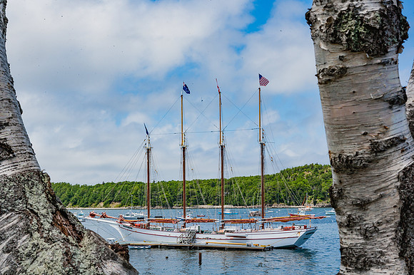 20060628_Maine_ZV4N1085