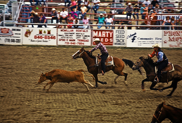 47490_B6_SL_COLOR_TRINIDAD_RODEO_CO_97_14.jpg