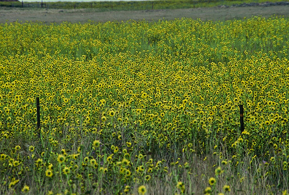 47498_B6_SL_COLOR_TRINIDAD_TO_HWY12_LOOP_SEGUNDO_BIG_PINE_RANCH_CO_97_06.jpg