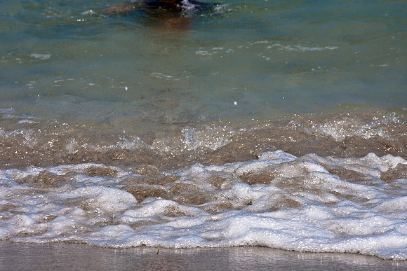 85886_Fisher_Island_Miami_FL_IMG_2815