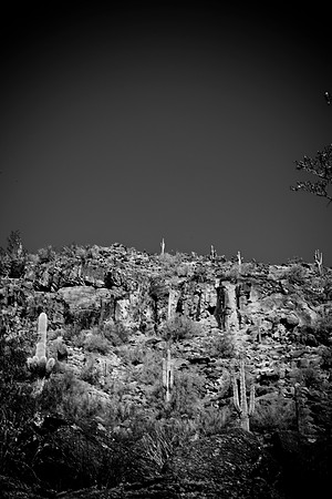 0031_La_Arizona_5L8Y5537