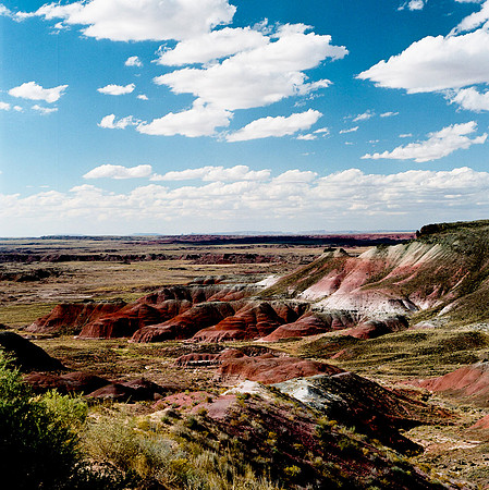 6142_COLOR_SQ_PAINTED_DESERT_AZ_USA_05_1.JPG