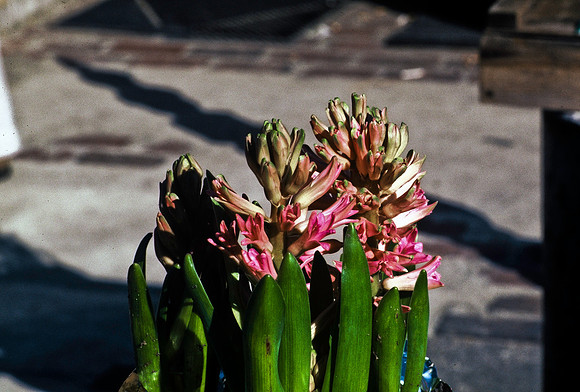 64032_B1_SL_COLOR_NY_80_13.jpg