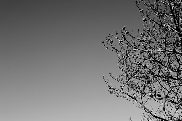 5L8Y0987