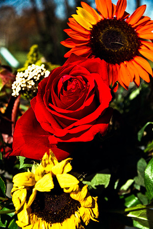 0337_FM_COLOR_MINESOTA_99_23.jpg